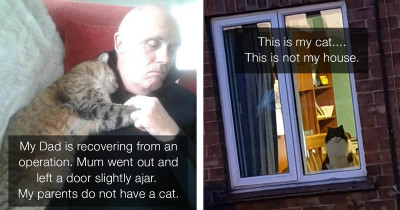 Adorable Cat Snapchats That Will Definitely Make You Smile