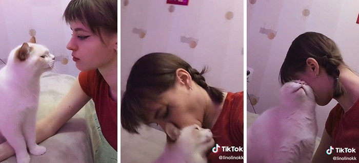 What a lovely kitty