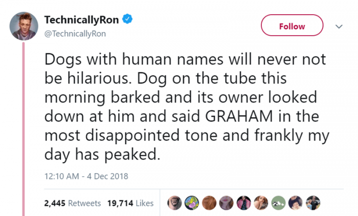 Human Names Vs Dog Names