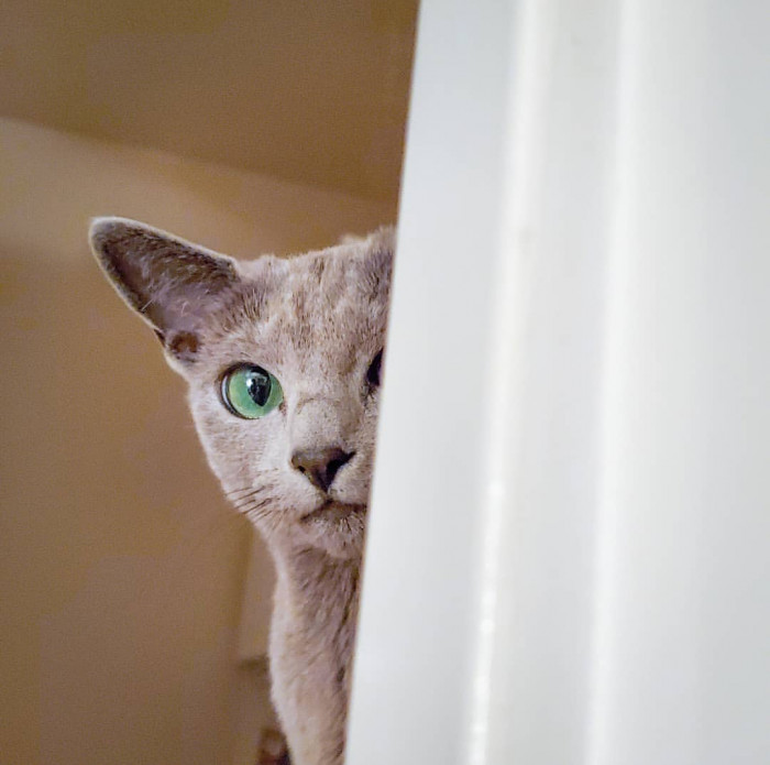 "She's got a handful of quirks that we think are pretty funny and cute!"