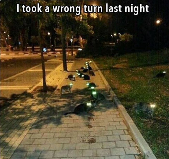 Correction: you took the right turn