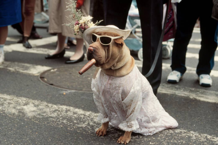 2. Easter Parade on Fifth Avenue, New York City, 1983