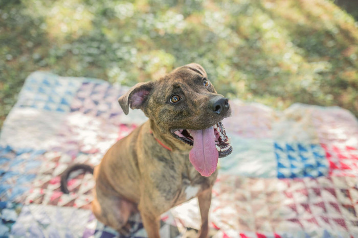 Big Mac happily out and about. He looks so happy!