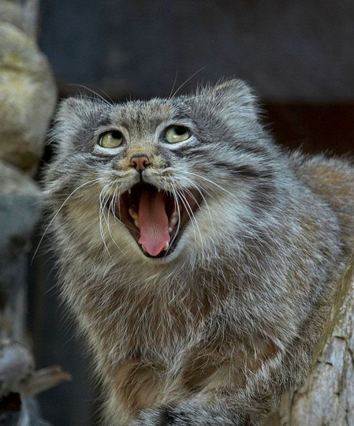 5. OH MA GARWD, REBECCA, GET OVER IT