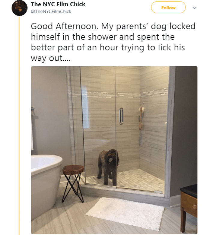 The power of a lick.