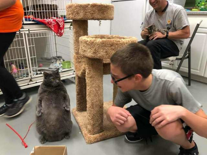 Close-up of Bruno’s round face and whiskers, warm lighting and soft fur