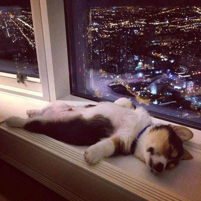  Who doesn't love falling asleep by a view like that!?