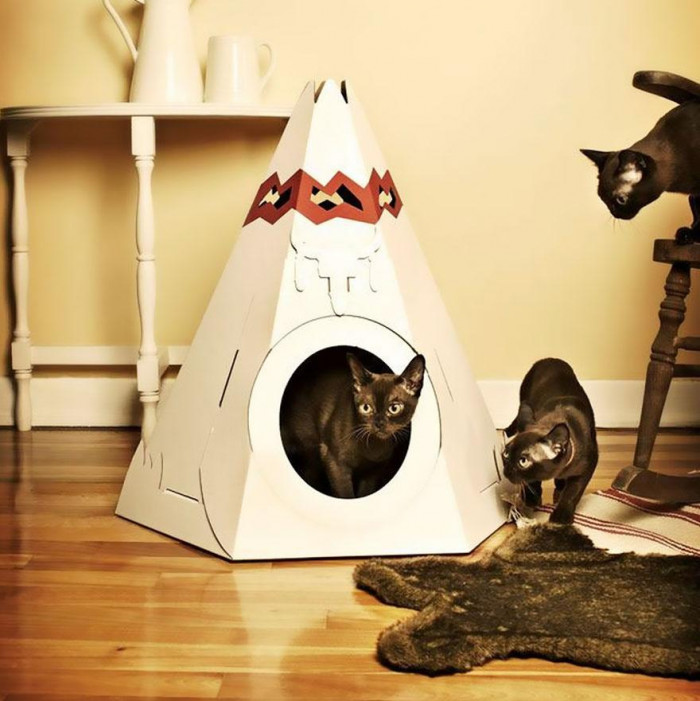 And lastly you can teach your cat what life without humans would be like, and get them a cat-sized house to camp in