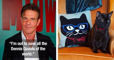 Cat Named Dennis Quaid Was In Need Of Forever Home So Dennis Quaid Himself Adopted Him