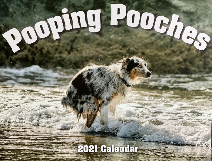 Pooping Dog Calendar For 2021 Is Here And It Is Hilarious