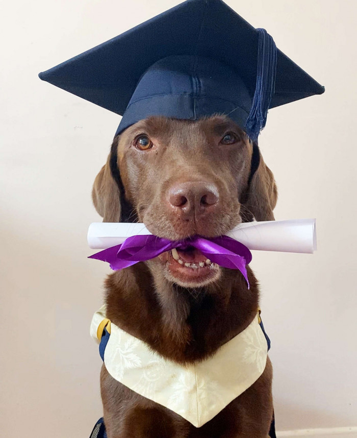 Alex's graduation ceremony last year was canceled because of the pandemic, but when they took her graduation photos, they decided to include Ollie, too.