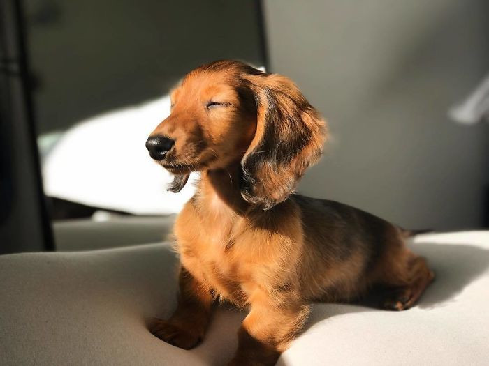 #7 Shielding my eyes from all the haters