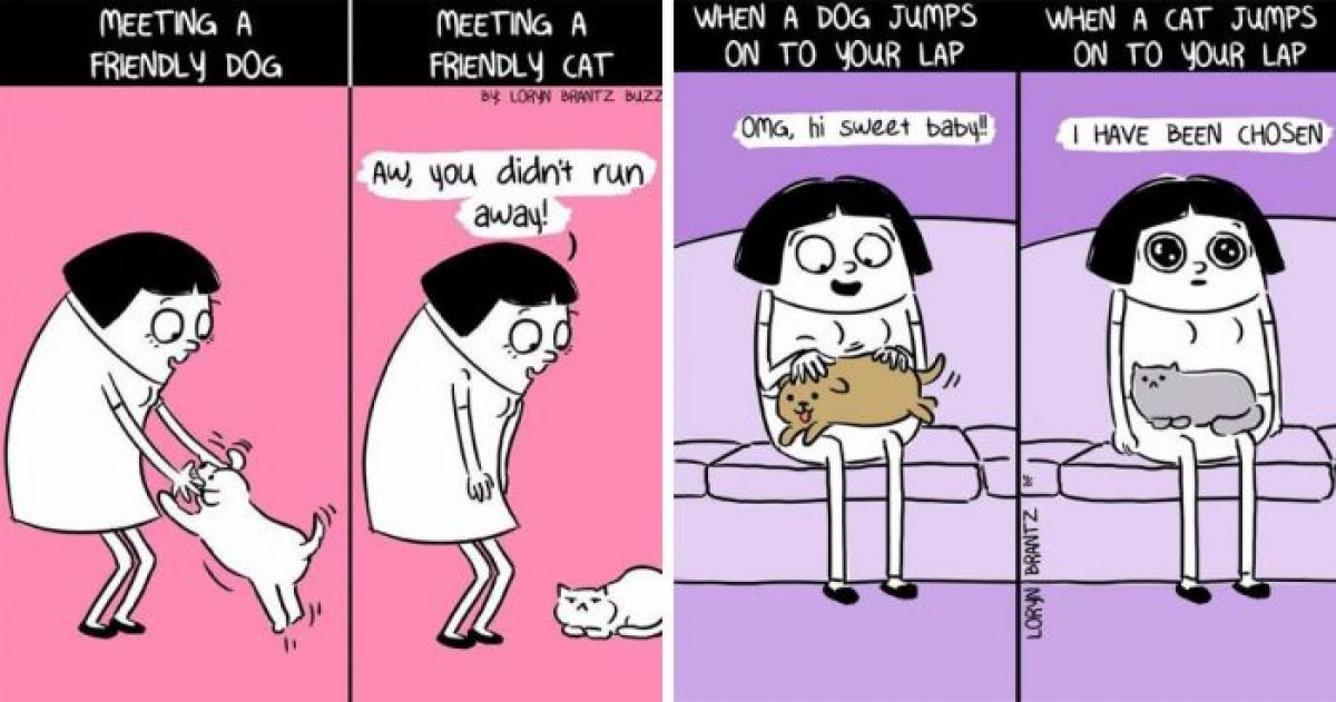 This Comic Shows The Funny Differences Between Cats and Dogs That ...