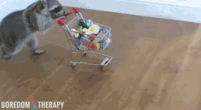 If you ever feel like not going out, they'll buy your groceries for you!