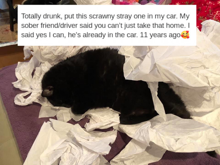 28. Drunken shenanigans.