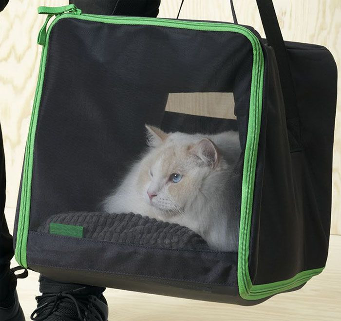  Cat cases that allow your pet to travel snugly and safely