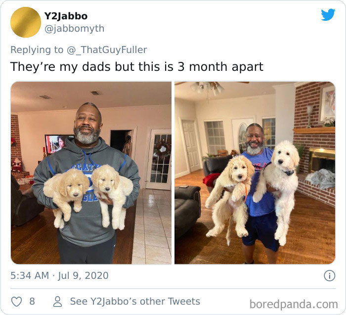 I want to see this pair of puppies in another 3 months.