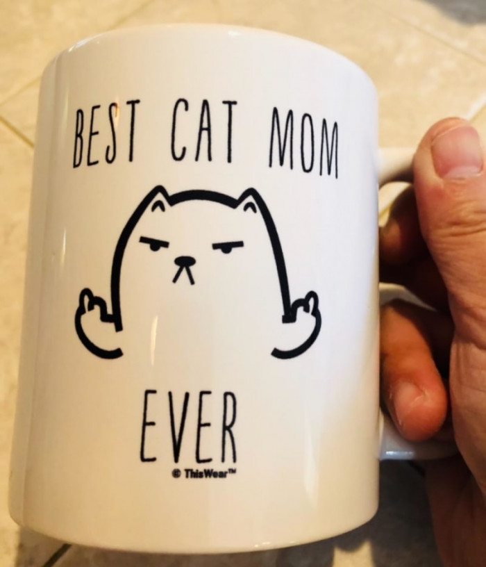 A coffee mug for cat lovers that clearly portrays how much your cat actually cares.