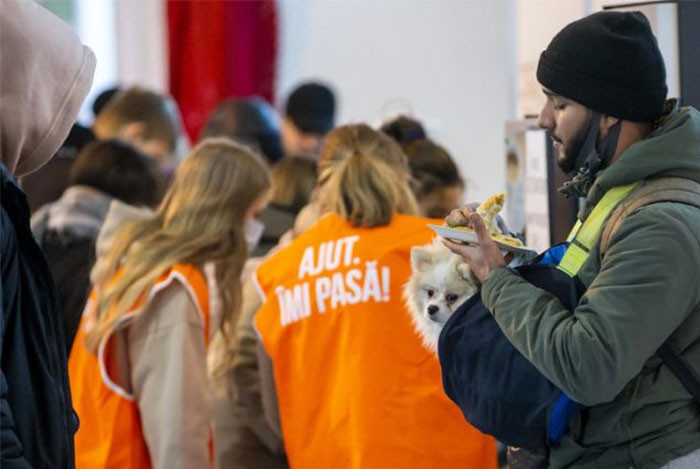 15. EU relaxes entry paperwork for pets travelling with Ukrainian refugees