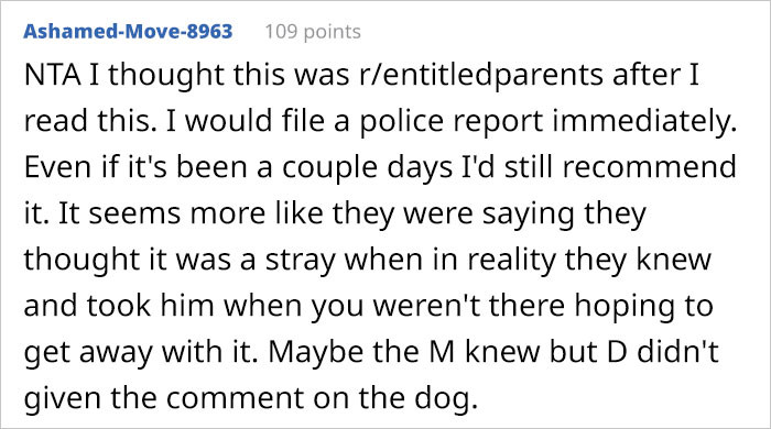 Redditors agree to file a police report regarding the stolen dog.