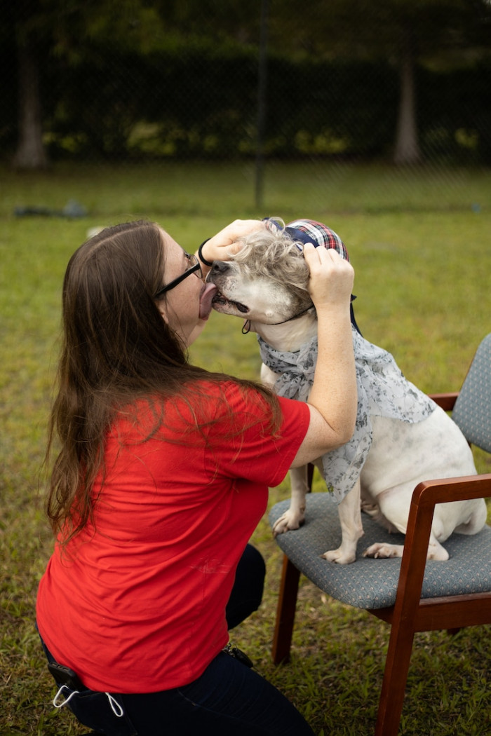 13. BTS Pictures of Senior Dogs Getting All Dressed Up for Photoshoot