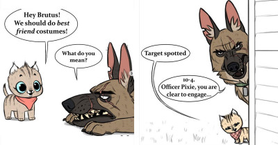 Pixie and Brutus Are the Wholesome Cat and Dog Duo the World Needed