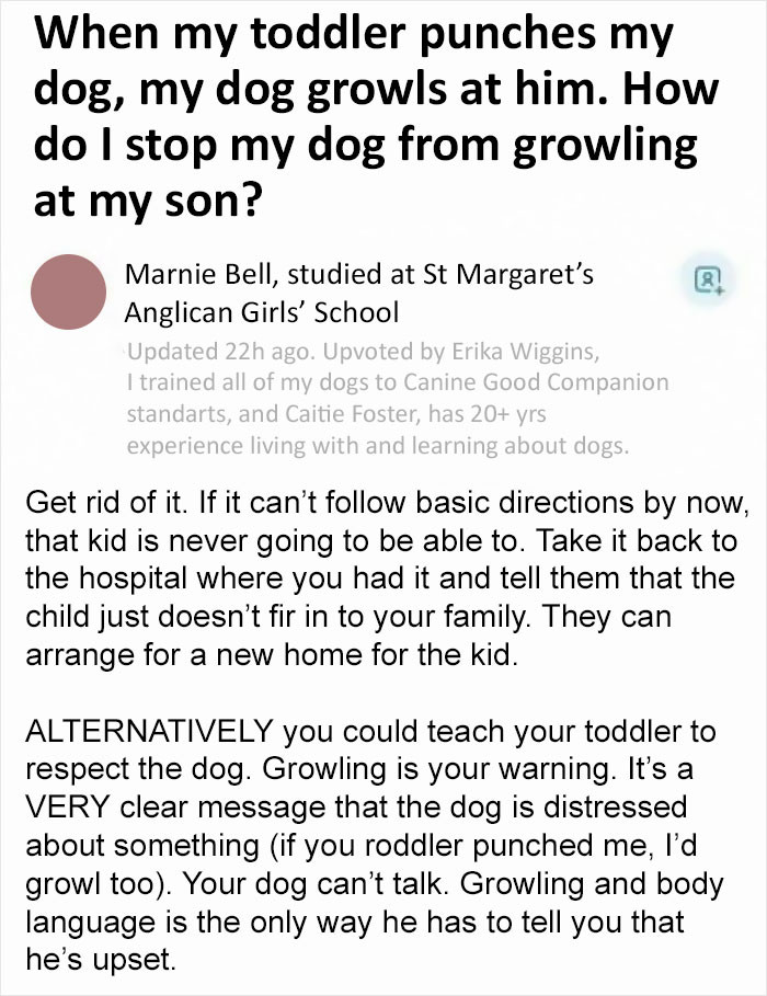 1. Teach the dog how to take it like a grown-up! Much easier than raising your kid right...