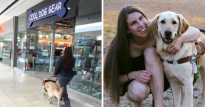This Sneaky Guide Dog Loves Secretly Taking His Mom to His Favourite Pet Store for Treats