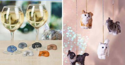 10+ Items Every Cat Lover Absolutely Needs Right Now