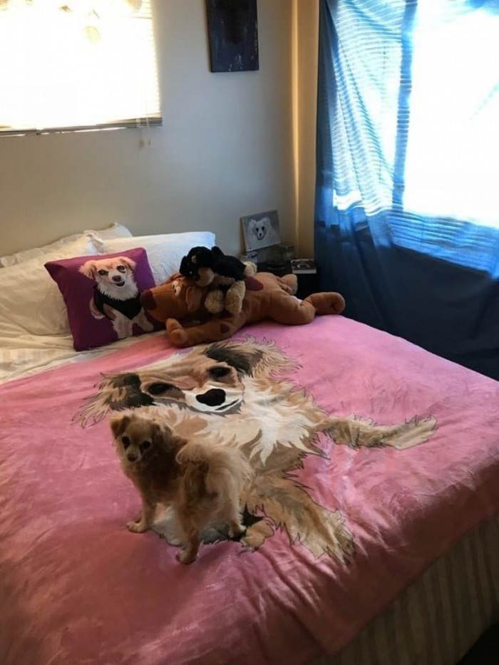 9. "Need I say more? Lol!"