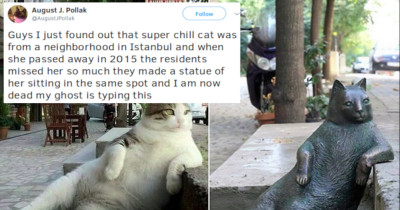 Cat Tweets That Prove Cats Really Are The Best