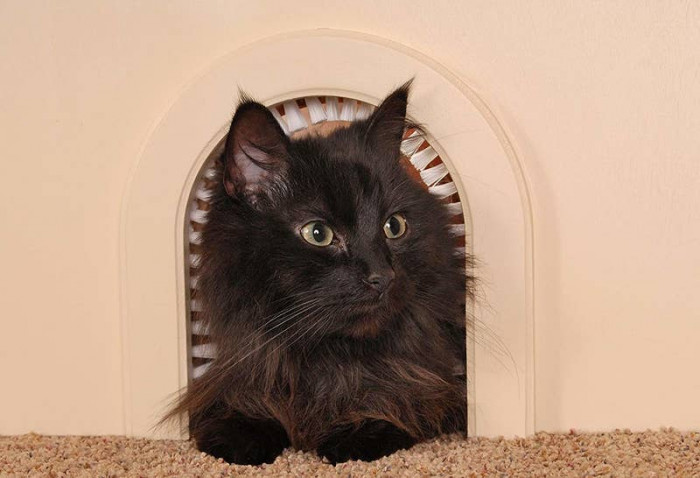 13. DIY Cat Door
