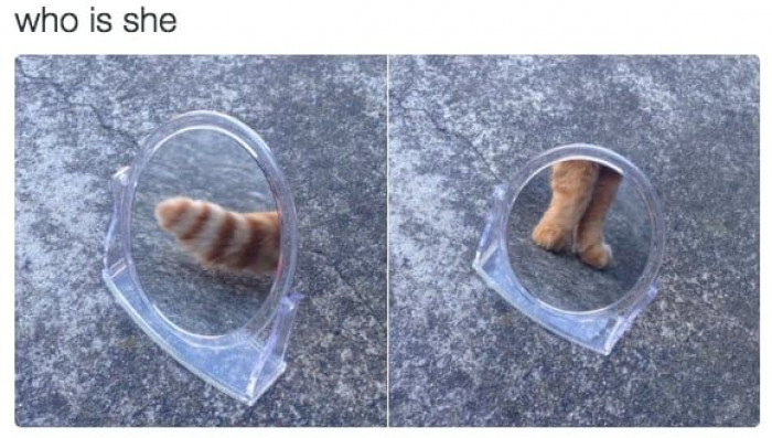 7. She is beauty, she is grace; you will never see her face