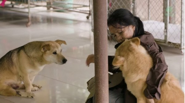 In the sanctuary, they are fed, loved, and cared for.