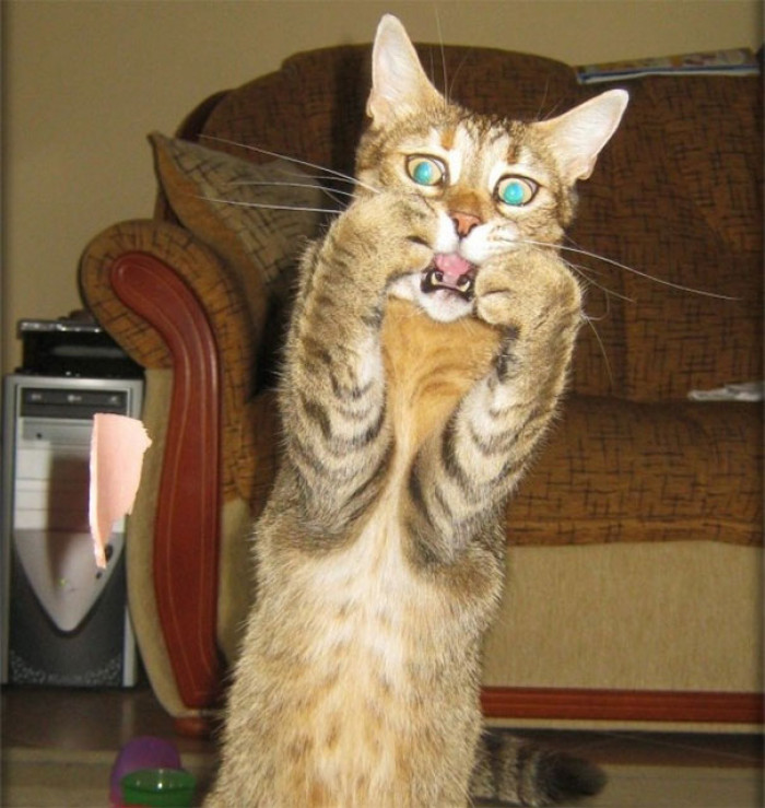 41. "The horror!!!!"