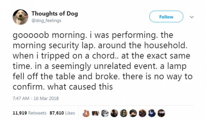 The morning security lap.