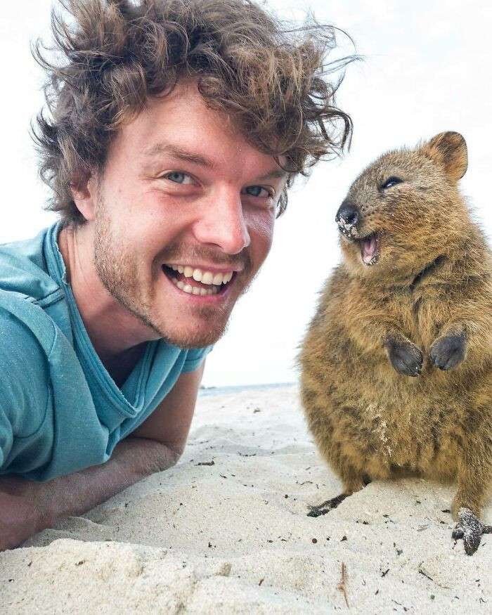Welcome the Quokkas who helped launch his career and who are making millions of people smile worldwide as well