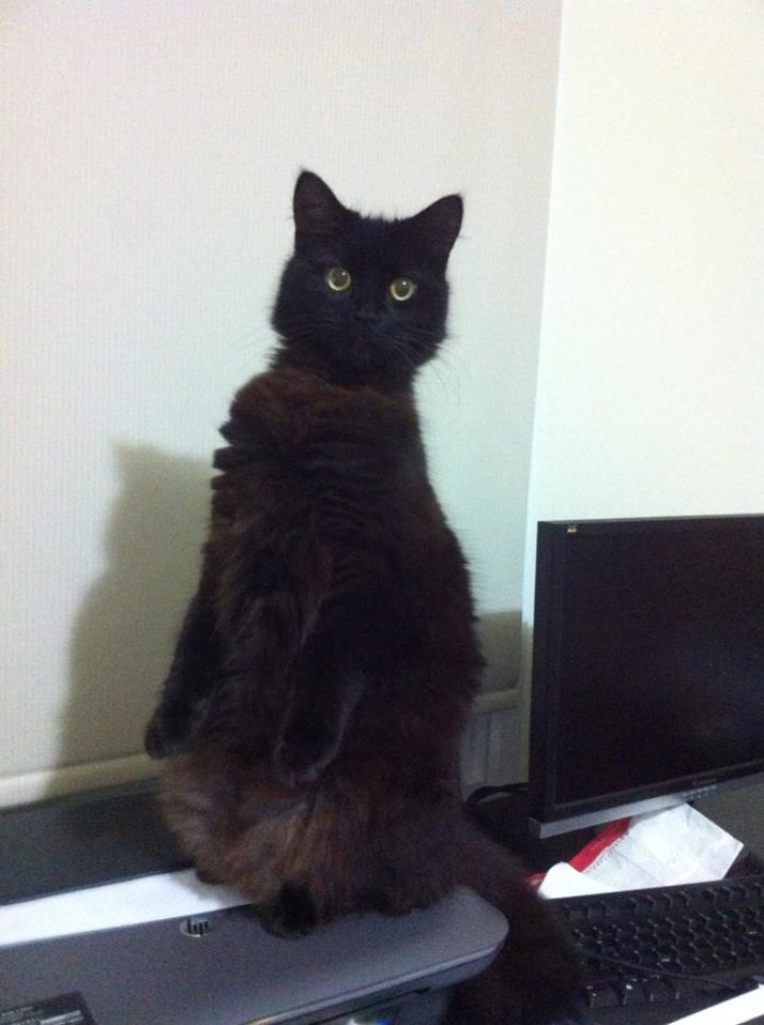 13. I wasn't doing anything suspicious.