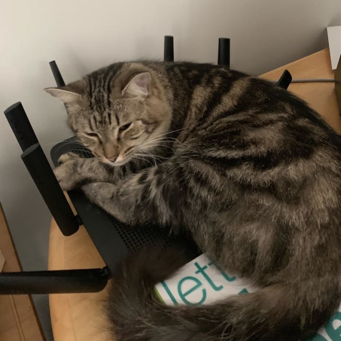 13. How's your connection? A little fuzzy?