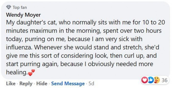 1. Concerned kitty doing her best to make sure mommy is okay.