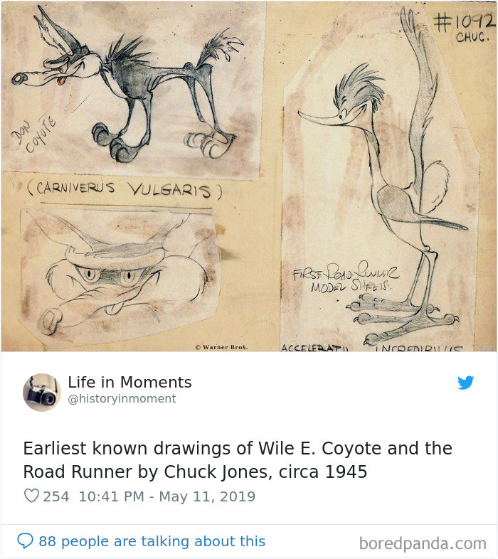 #28 Carniverus Vulgaris