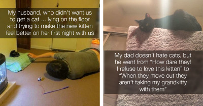 Cats on Catnip Fans Share the Stories of How One of Their Family Members Became a Cat Lover