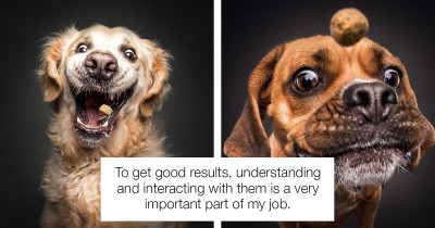 These Adorable Dogs Trying to Catch Treats Mid-Air Will Definitely Make Your Day