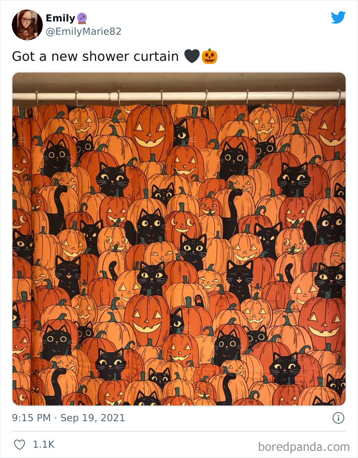 1. Pumpkins and Cats Shower Curtain