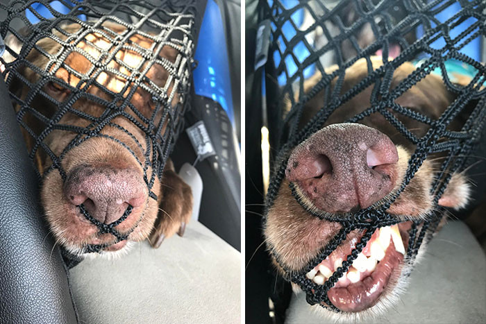 34. Results were—well—muzzle catching...