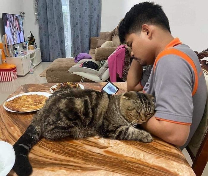 #9 Oh, how I love my human.