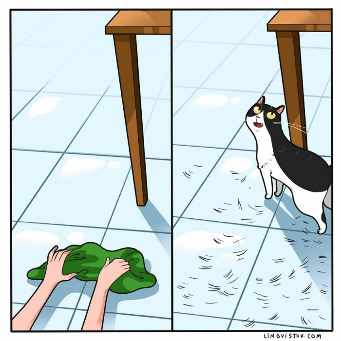 30. Kitty sprinkles!