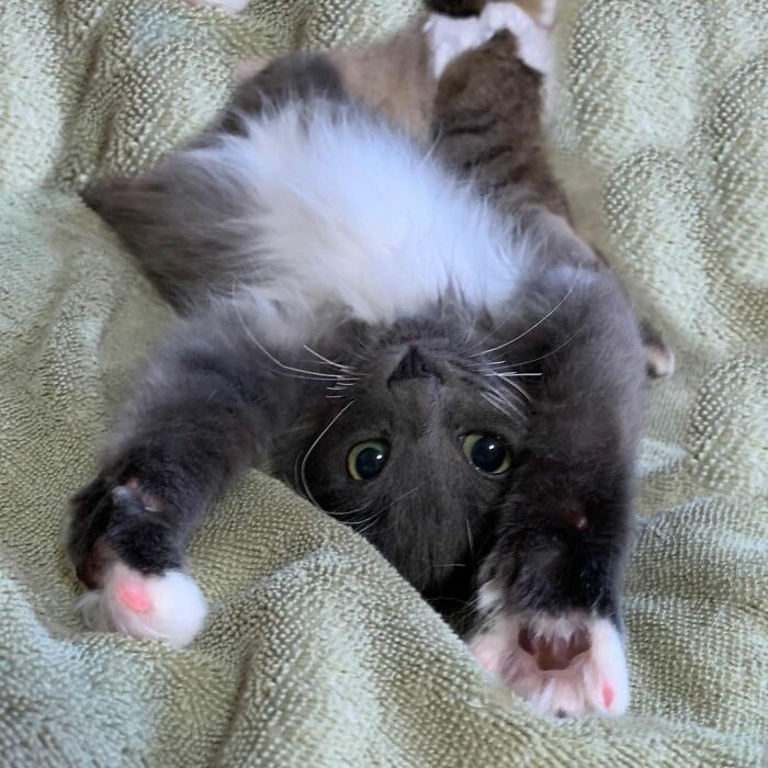 “I also had to consider what may happen as she continues to age, and keeping her with us will help us monitor her closely.”