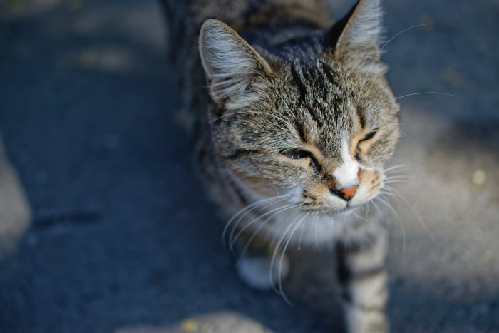 1. You'll gain an open mind