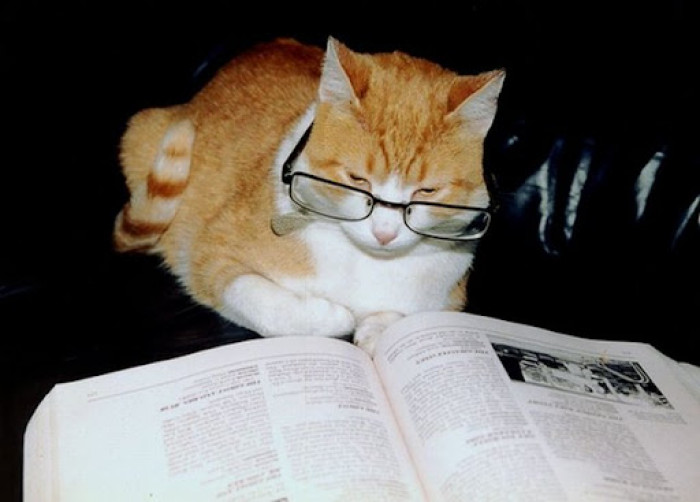 14. Sometimes you just need your glasses to read.